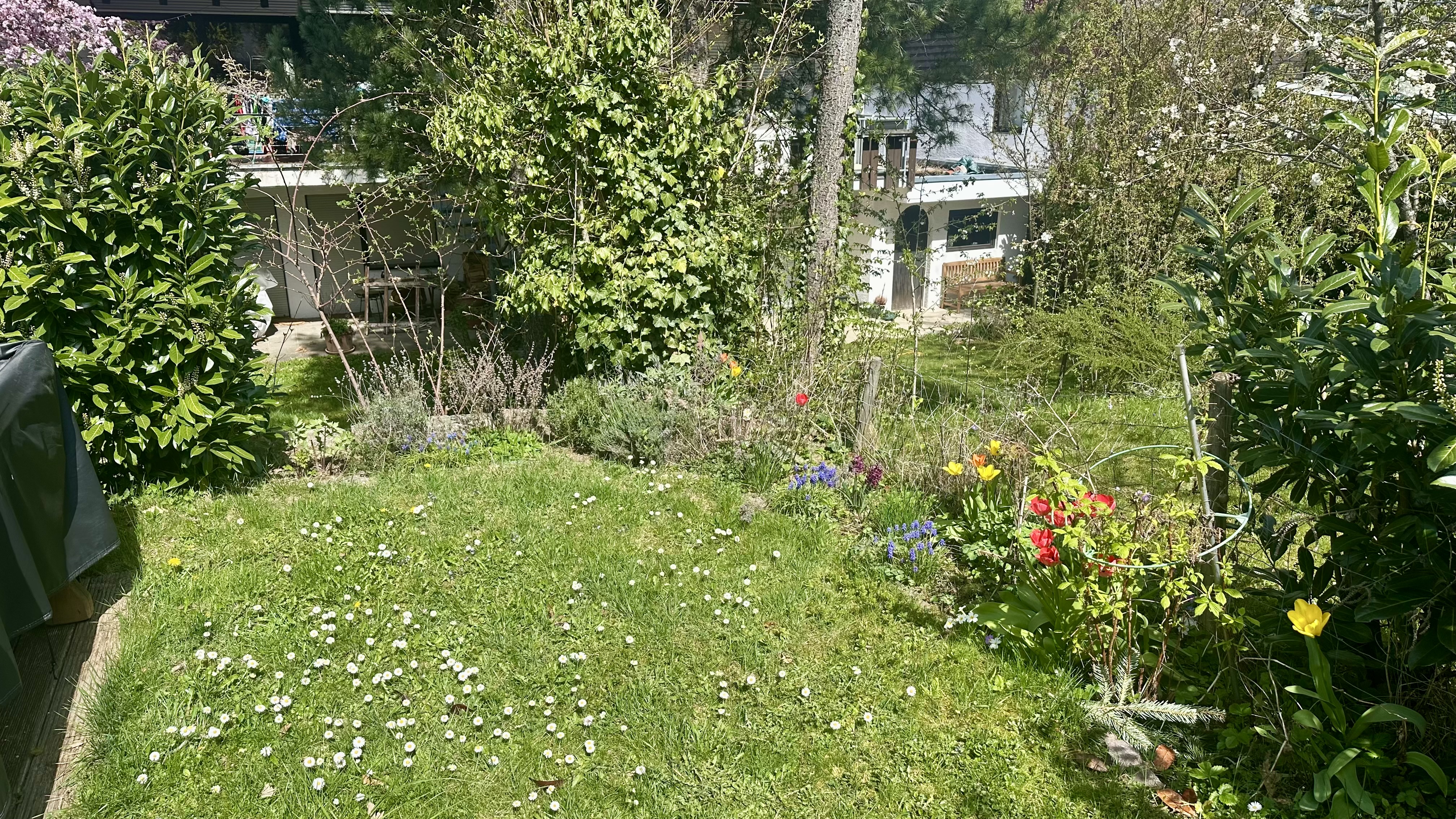 Garten
